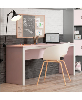 Mesa escritorio ENMARCADO